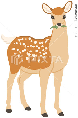 草を食べるニホンジカのイラスト 134896568