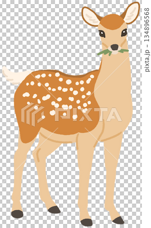 草を食べるニホンジカのイラスト 134896568