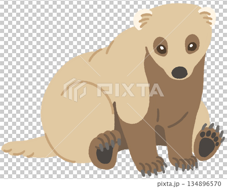 座るアナグマのイラスト 座るアナグマのイラスト 134896570