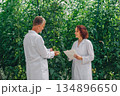 Caucasian scientists discussing greenhouse cultivation techniques with notes and smiles, demonstrating pruning strategies, support systems and sustainable practices among dense tomato vines 134896650