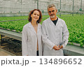 Science in action, Laboratory scene showcases controlled environment for research experiments, Industrial greenhouse setting highlights meticulous techniques for studying plant nutrition and growth 134896652