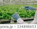 Precise nutrient evaluation, Researcher meticulously transfers solutions, Scientist carefully manages solutions during analysis, Accurate assessment of nutrients involves careful handling of solutions 134896653