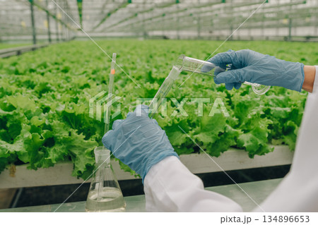 Precise nutrient evaluation, Researcher meticulously transfers solutions, Scientist carefully manages solutions during analysis, Accurate assessment of nutrients involves careful handling of solutions Precise nutrient evaluation, Researcher meticulously transfers solutions, Scientist carefully manages solutions during analysis, Accurate assessment of nutrients involves careful handling of solutions 134896653