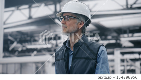 Specialist Assessing Production Line Efficiency on Site Specialist Assessing Production Line Efficiency on Site 134896956