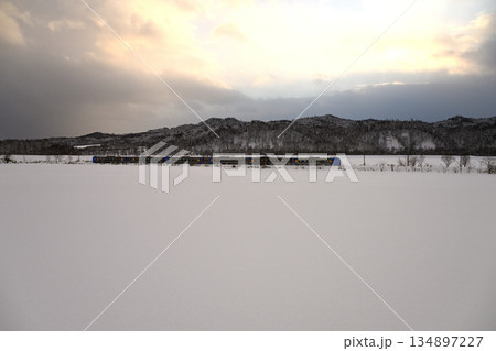 雪原の中を走る特急サロベツ号 134897227