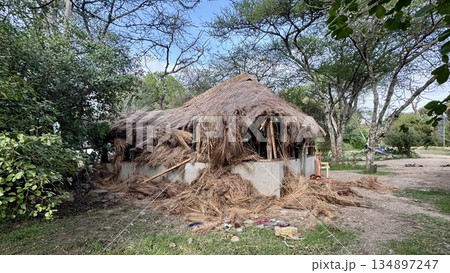 野生動物に壊されたキャンプ小屋の痕跡 朝のリアルな自然背景 野生動物に壊されたキャンプ小屋の痕跡 朝のリアルな自然背景 134897247