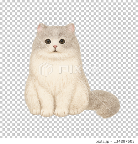 Sitting Cat Looking Around 134897605