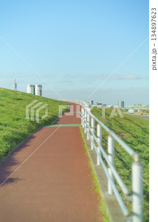江戸川河川敷の柴又公園の風景 134897623