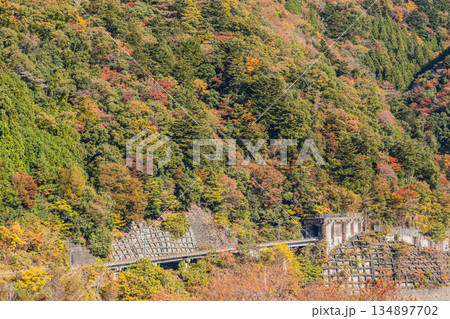 川根本町の長島ダム周辺の紅葉の風景(静岡県) 川根本町の長島ダム周辺の紅葉の風景(静岡県) 134897702