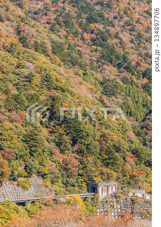 川根本町の長島ダム周辺の紅葉の風景(静岡県) 川根本町の長島ダム周辺の紅葉の風景(静岡県) 134897706