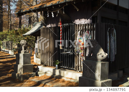 さいたま市別所沼公園の弁財天堂　12月 134897791