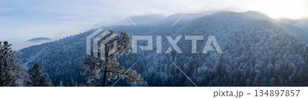 A frosty winter hike to Tomasovsky view, a stunning rock formation offering breathtaking vistas in Slovensky Raj National Park, Slovakia A frosty winter hike to Tomasovsky view, a stunning rock formation offering breathtaking vistas in Slovensky Raj National Park, Slovakia 134897857