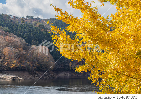 豊田市の三河湖の紅葉の風景(愛知県) 134897873