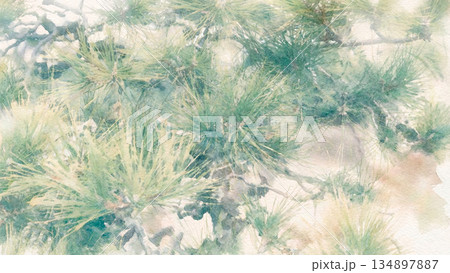 松の枝16:9 134897887