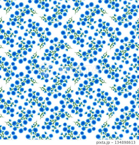 Seamless floral pattern with blue cornflower like blooms, green stems on white background. Symmetrical layout creates fresh, elegant texture for textile, wallpaper, packaging, decor Seamless floral pattern with blue cornflower like blooms, green stems on white background. Symmetrical layout creates fresh, elegant texture for textile, wallpaper, packaging, decor 134898613