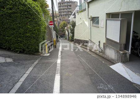 東京都文京区千石の簸川坂 (氷川坂) 東京都文京区千石の簸川坂 (氷川坂) 134898946