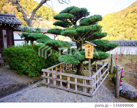 秋の長谷寺　三百余寺 134899006