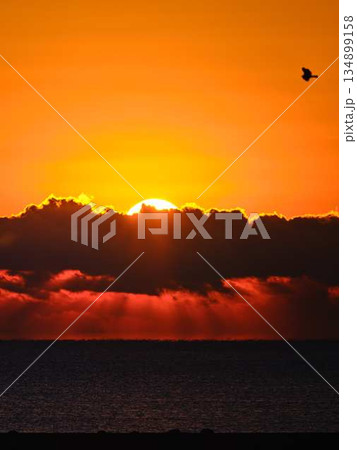 朝日が昇る 134899158