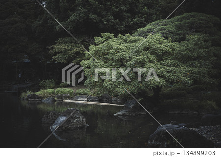 秋の旧古河庭園の風景 134899203