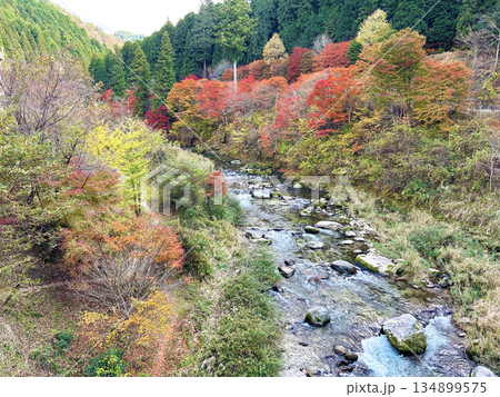 紅葉な木々 134899575