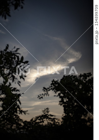 夕暮れの秋の空 夕暮れの秋の空 134899709