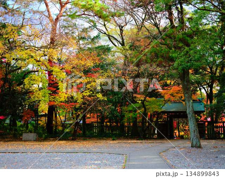 《奈良県》紅葉 134899843