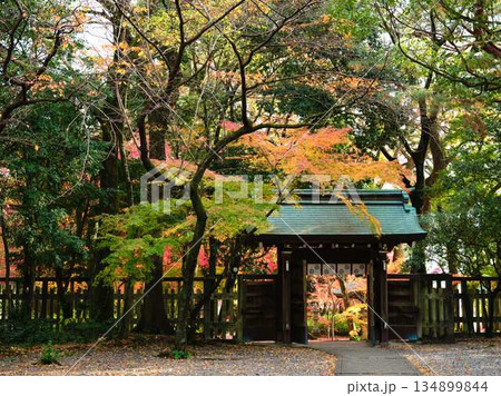 《奈良県》紅葉 《奈良県》紅葉 134899844