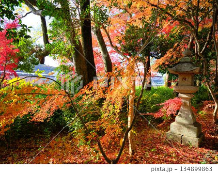 《奈良県》紅葉 《奈良県》紅葉 134899863