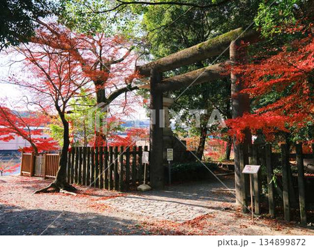 《奈良県》紅葉 《奈良県》紅葉 134899872