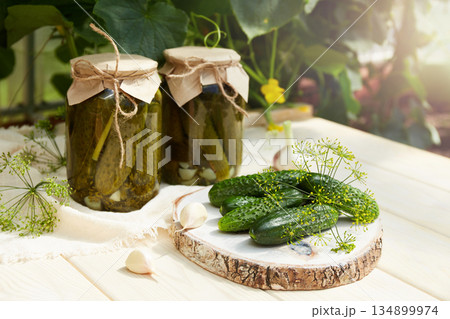 Pickled cucumbers in a jar, fresh cucumbers, herbs, garlic and dill for canning 134899974