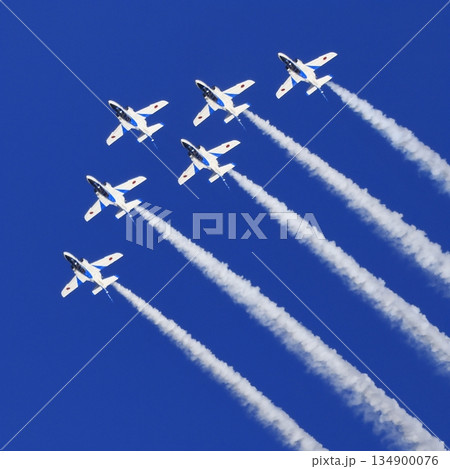 ブルーインパルス ブルーインパルス 134900076