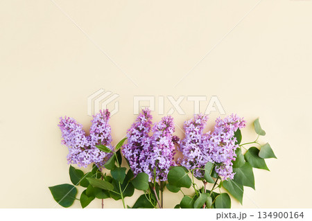 Lilac branches on a yellow background. Spring background mock up 134900164