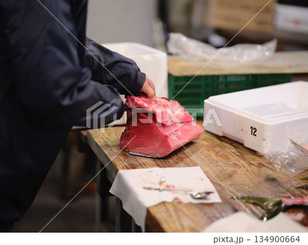 魚の解体 134900664