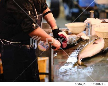 魚の解体 134900717