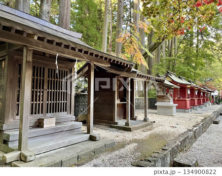 【山梨県】富士浅間神社に並ぶ摂社と末社と紅葉の彩り 134900822