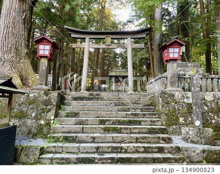 【山梨県】富士浅間神社 石段と鳥居が導く荘厳な参道入口 134900823