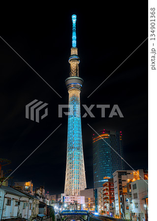 十間橋からの東京スカイツリー外観夜景 十間橋からの東京スカイツリー外観夜景 134901368