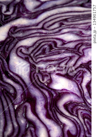 Close up of the inside detail of a red cabbage decorative Close up of the inside detail of a red cabbage decorative 134901757