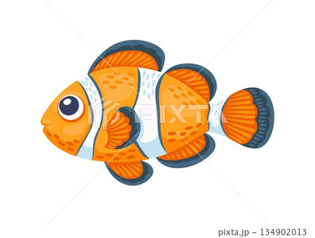 Clown fish sea underwater environment animal cartoon character. Underwater wildlife creature cute personage, ocean water clown fish cheerful isolated vector character. Sea aquatic animal happy mascot 134902013