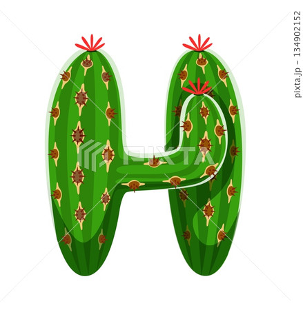 Cacti Mexican plant, cactus font cartoon letter H. Desert succulent typeface element, cacti font vector letter. Prickly cactus English alphabet type sign or Mexican plant leaf typeset symbol Cacti Mexican plant, cactus font cartoon letter H. Desert succulent typeface element, cacti font vector letter. Prickly cactus English alphabet type sign or Mexican plant leaf typeset symbol 134902152