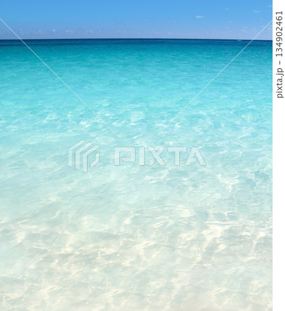 Caribbean turquoise sea beach shore white sand Caribbean turquoise sea beach shore white sand 134902461