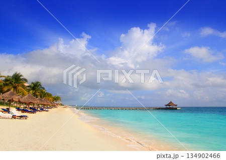 Mayan Riviera beach palm trees sunroof Caribbean 134902466