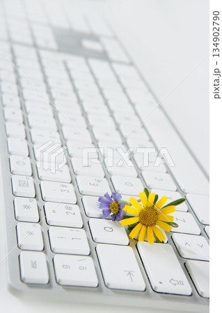 Concept of flowers growing from computer 134902790