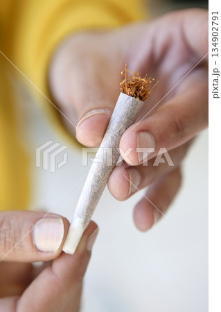 joint tobacco cigarette in hands just prepared joint tobacco cigarette in hands just prepared 134902791