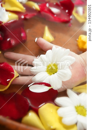 Aromatherapy, flowers hand bath, rose petal Aromatherapy, flowers hand bath, rose petal 134902801