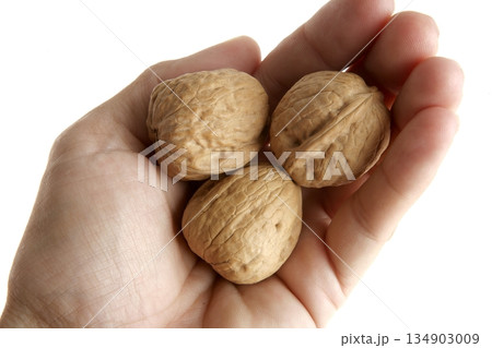 Human hand holding three walnut Human hand holding three walnut 134903009