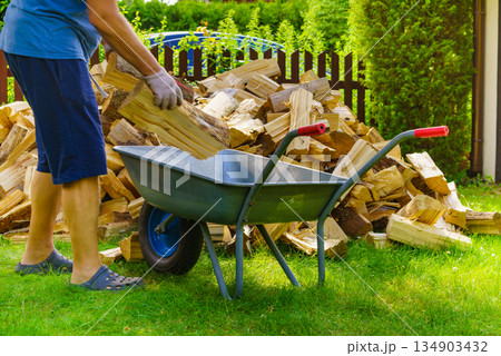 Man loading firewood on wheelbarrow Man loading firewood on wheelbarrow 134903432