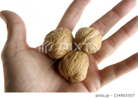 Human hand holding three walnut Human hand holding three walnut 134903507