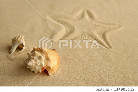 Starfish footprint over caribbean sand Starfish footprint over caribbean sand 134903512