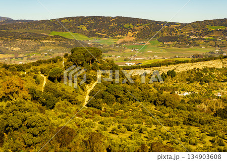 Ronda green valley, Andalusia, Spain. Ronda green valley, Andalusia, Spain. 134903608
